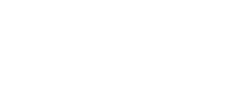 New Beetle Logo